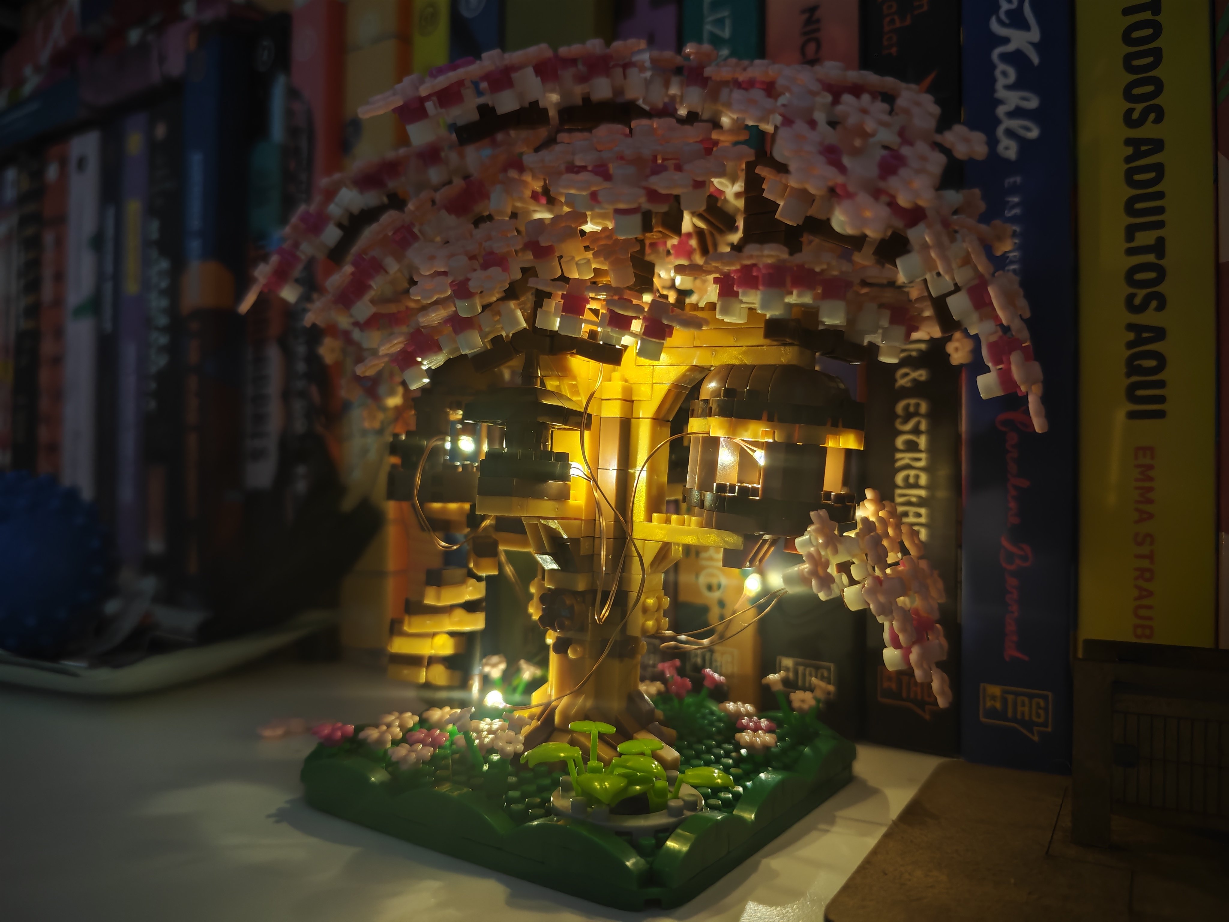 Imaginação e Ficção (7 dias)